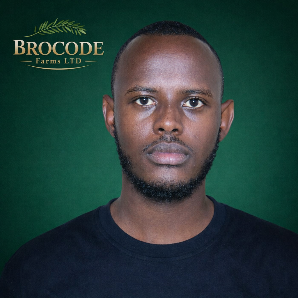 Marketing and Sales Partner