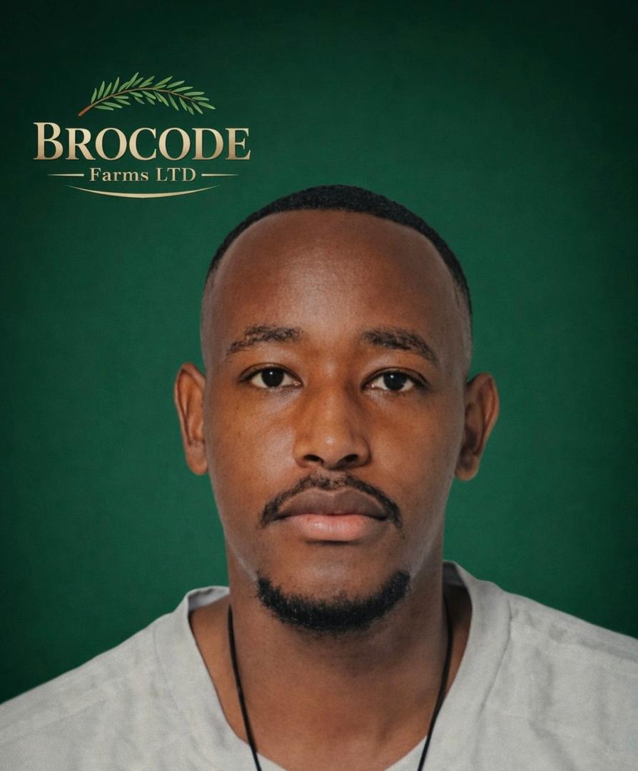 Digital IT Solution Partner